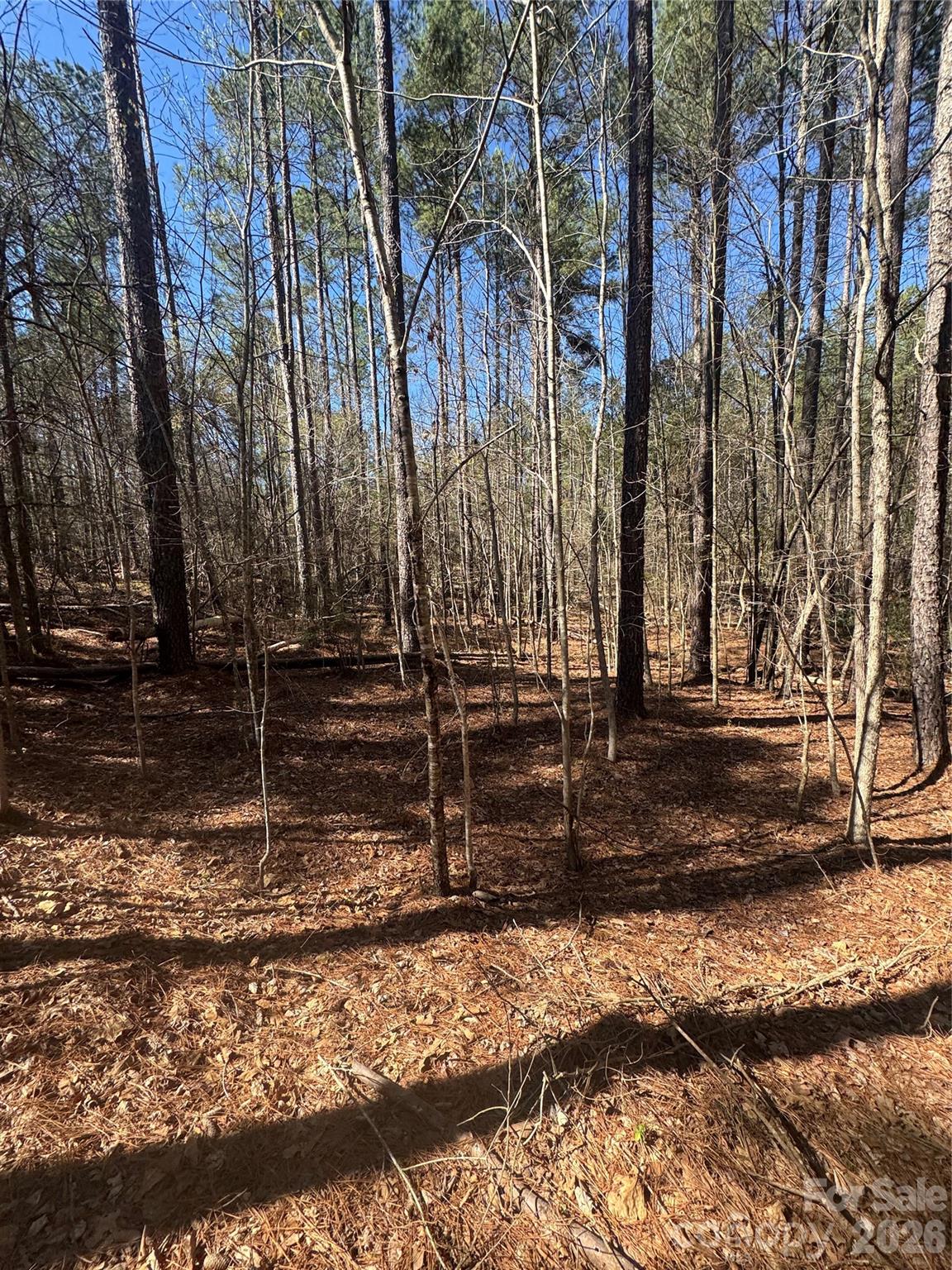 1802 Goings Road Chester, SC 29706 - Photo 2 of 18