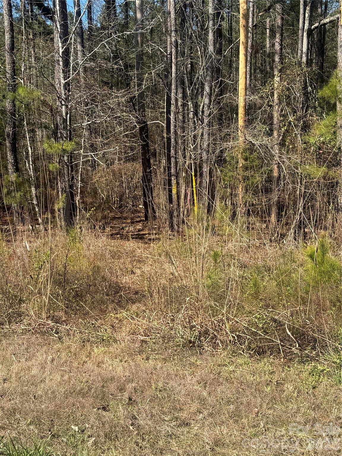 1802 Goings Road Chester, SC 29706 - Photo 3 of 18