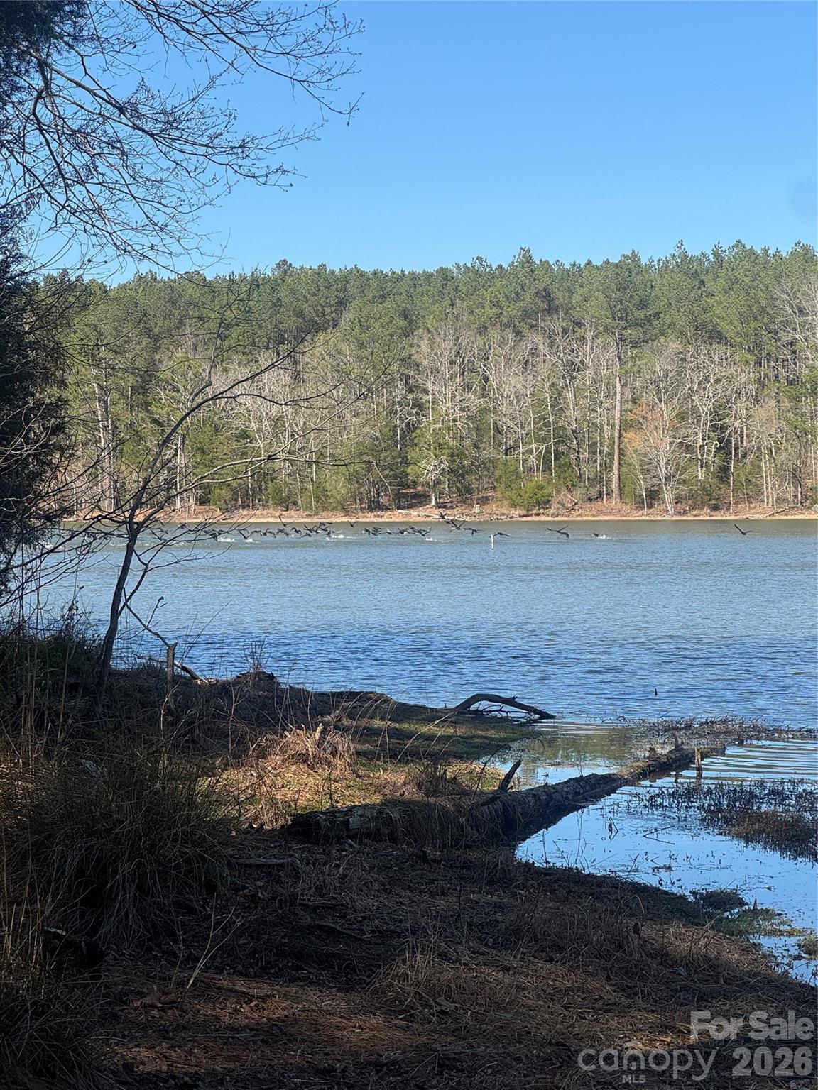 1802 Goings Road Chester, SC 29706 - Photo 5 of 18