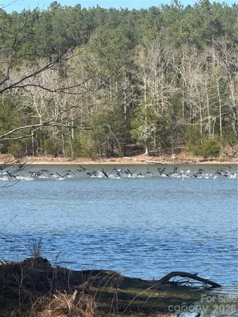 $57,000 | 1802 Goings Road, Chester, SC 29706