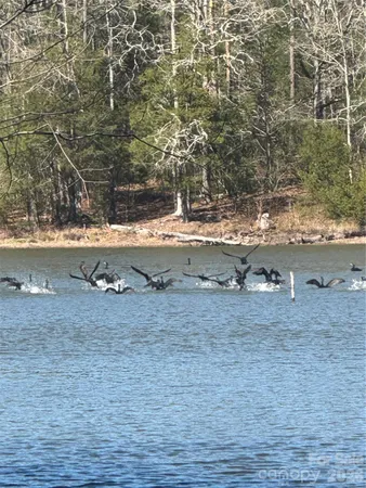 $57,000 | 1802 Goings Road, Chester, SC 29706