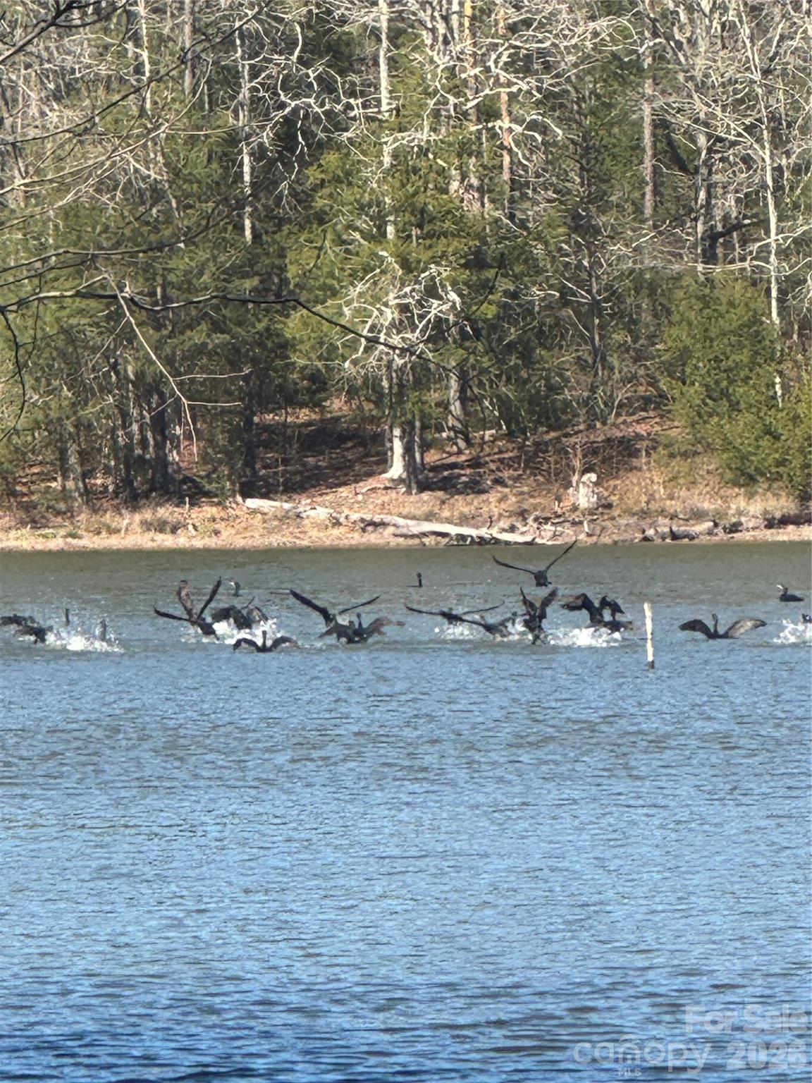 1802 Goings Road Chester, SC 29706 - Photo 8 of 18