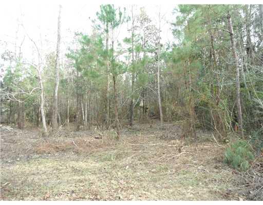 0 Mulberry Point Covington, LA 70433 - Photo 1 of 7 Gallery Image 1