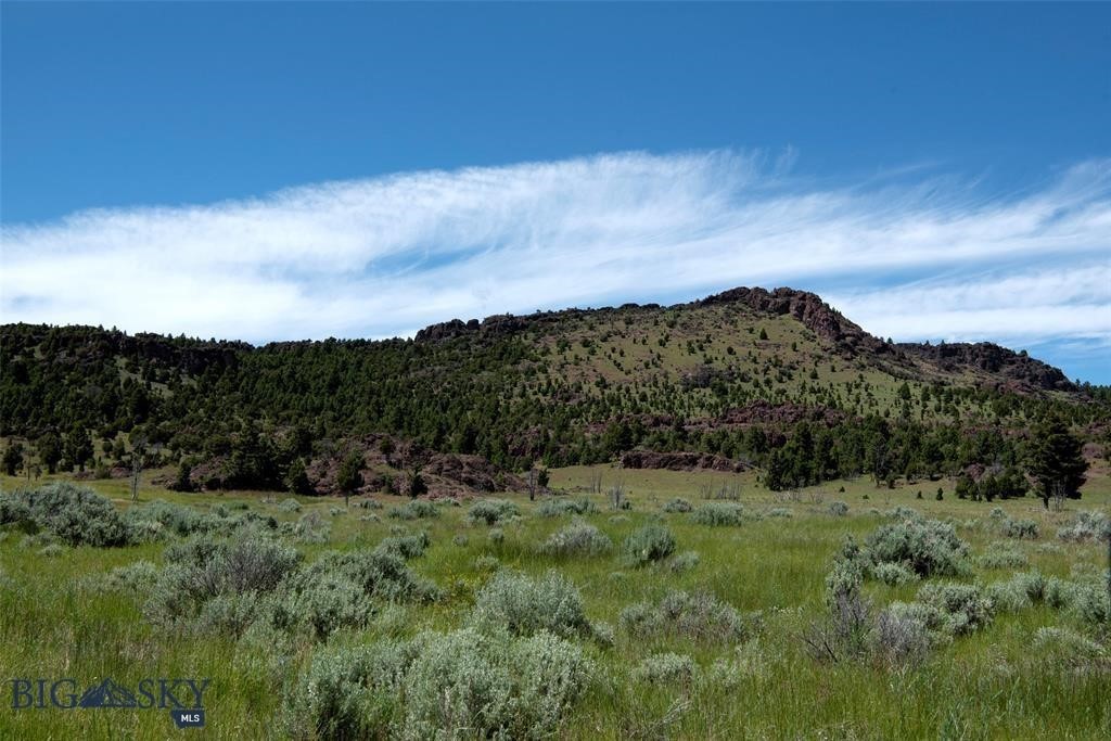 Tbd Lookout Trail Ramsay, MT 59748 - Photo 2 of 40 Gallery Image 2