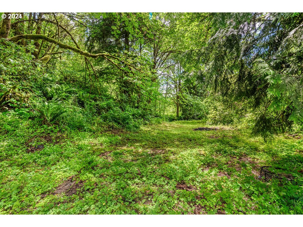 119 Ragland Road Longview, WA 98632 - Photo 24 of 30 a view of a lush green forest