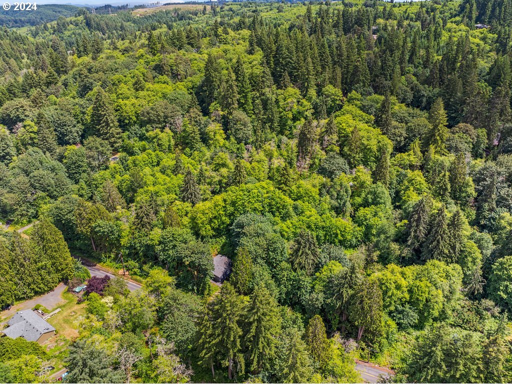 119 Ragland Road Longview, WA 98632 - Photo 25 of 30 a view of a lush green forest with lots of trees
