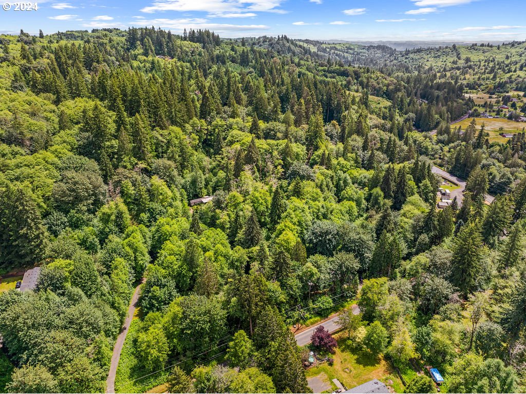 119 Ragland Road Longview, WA 98632 - Photo 29 of 30 a view of a forest with a street