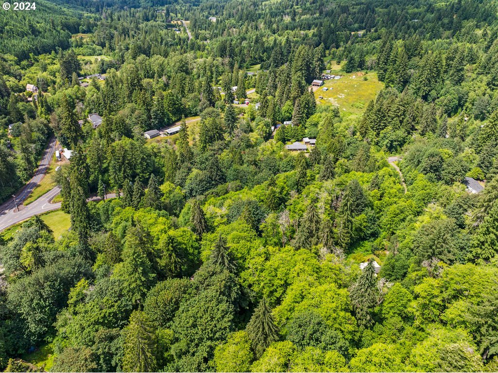 119 Ragland Road Longview, WA 98632 - Photo 30 of 30 a view of a forest with a tree