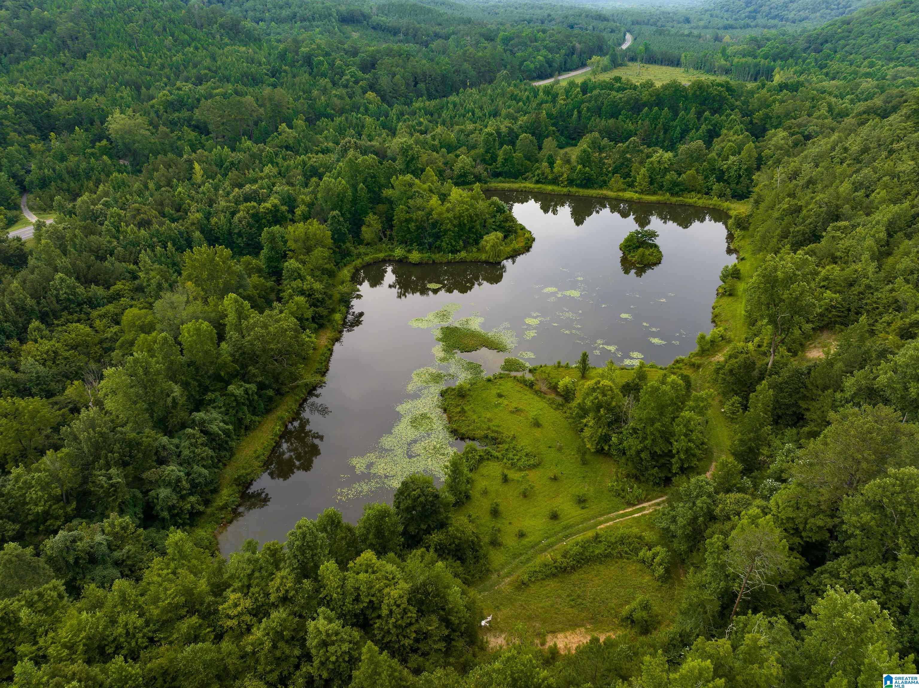 81 Frozen Hollow Road, Unit 32 Carbon Hill, AL 35549 - Photo 18 of 42