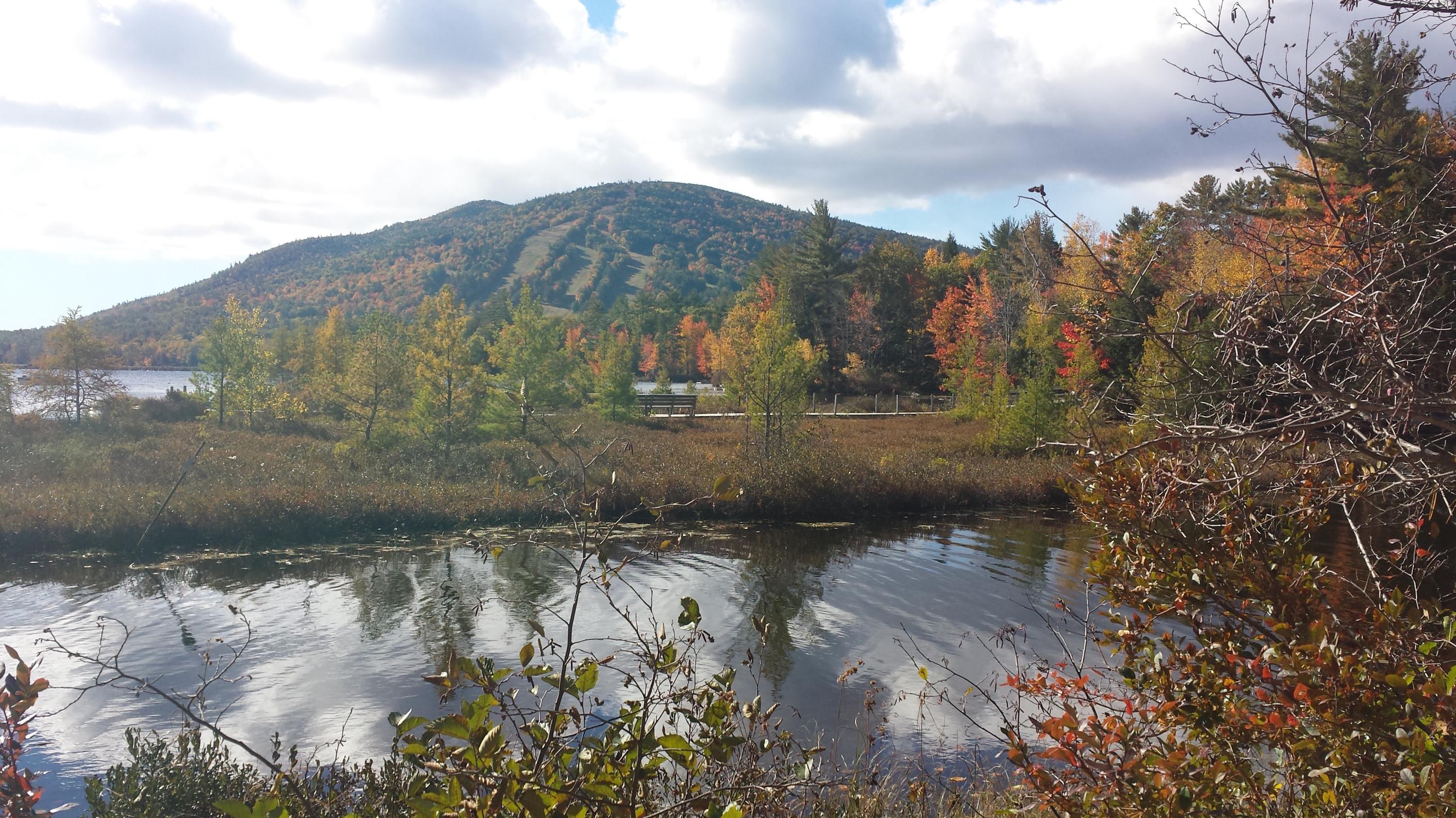 24 Arrowhead Road Harrison, ME 04040 - Photo 25 of 27 Fall Colors