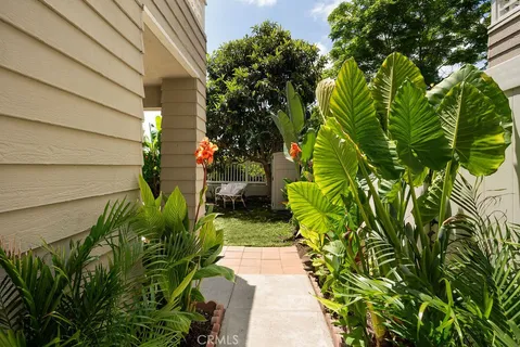 a view of a yard with plants