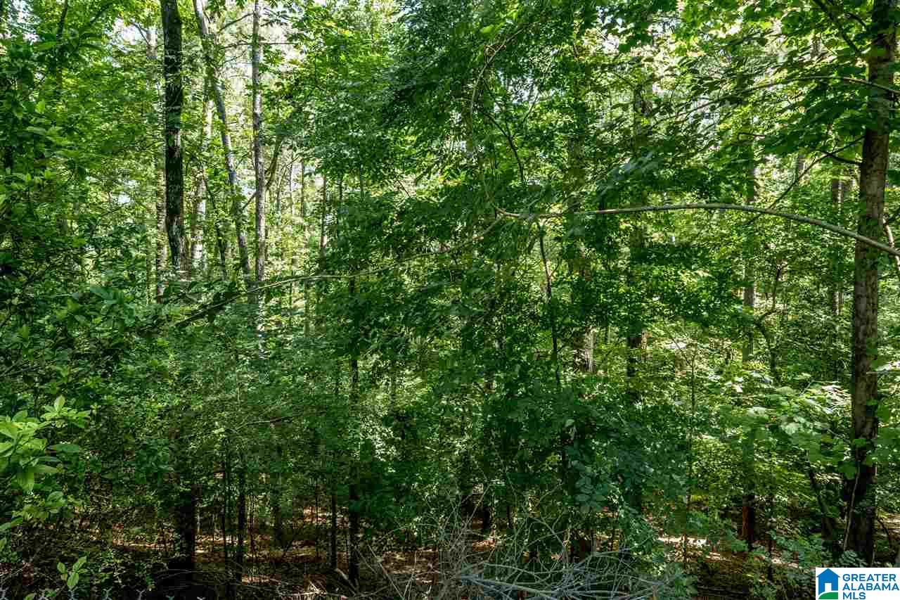 2430 Titonka Road Birmingham, AL 35244 - Photo 26 of 26