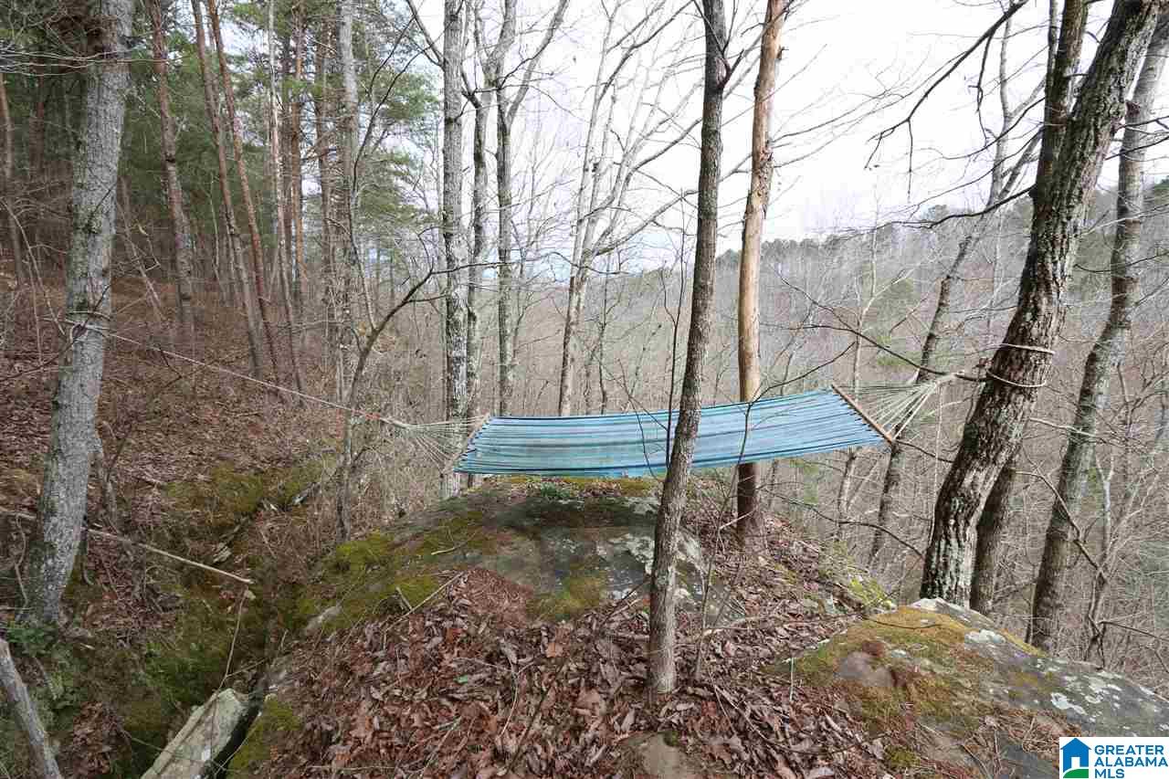 Jackson Trail, Unit 191 Oneonta, AL 35121 - Photo 18 of 40 Gallery Image 18