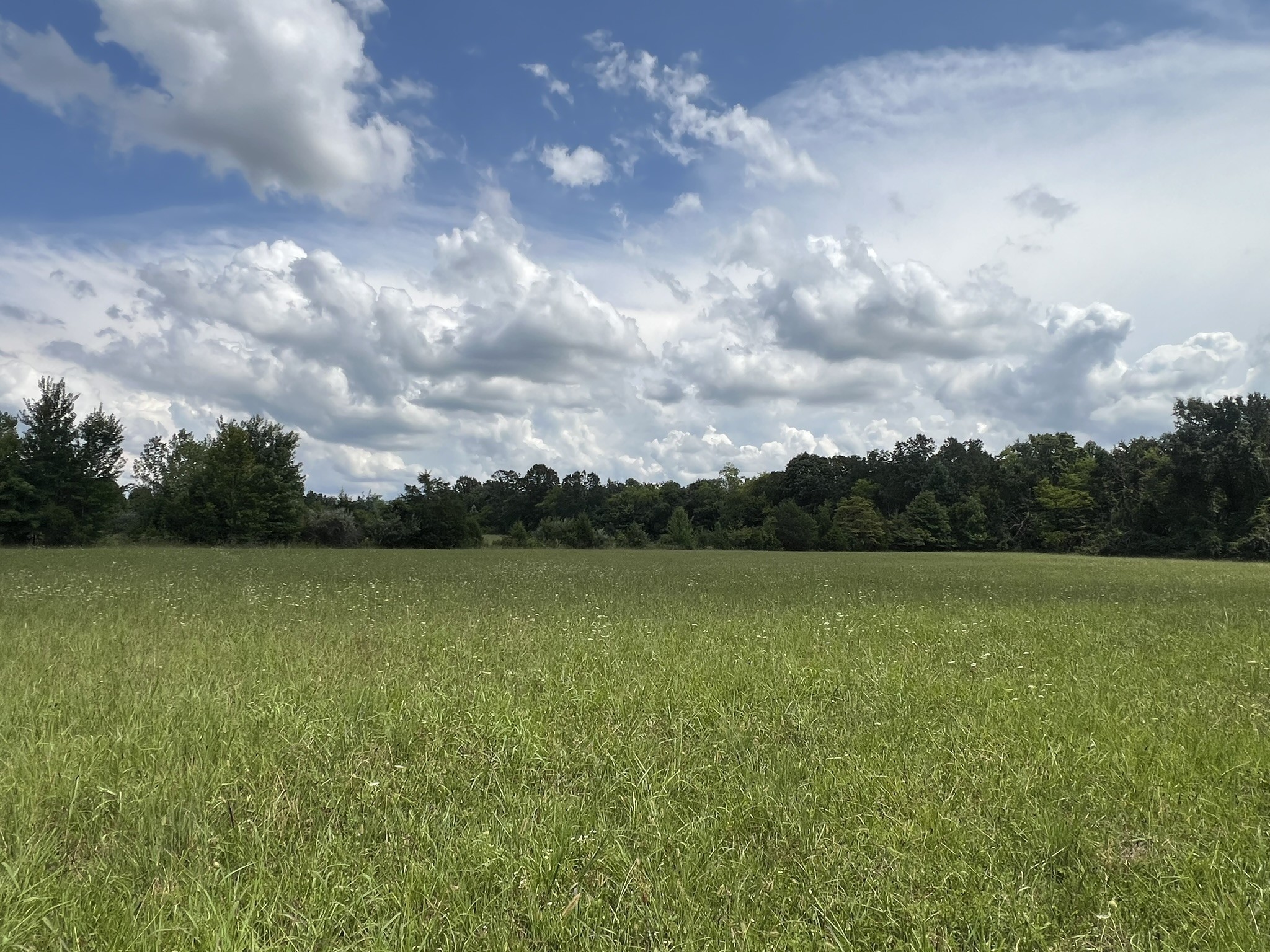 0 Martin Road Portland, TN 37148 - Photo 16 of 26 Gallery Image 16