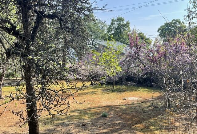 46967 Blue Ridge Drive Springville, CA 93265 - Photo 9 of 63