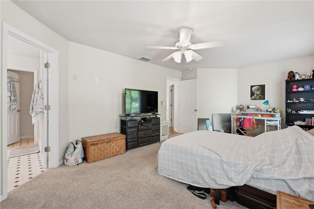 1734 Mapleleaf Boulevard Oldsmar, FL 34677 - Photo 42 of 82