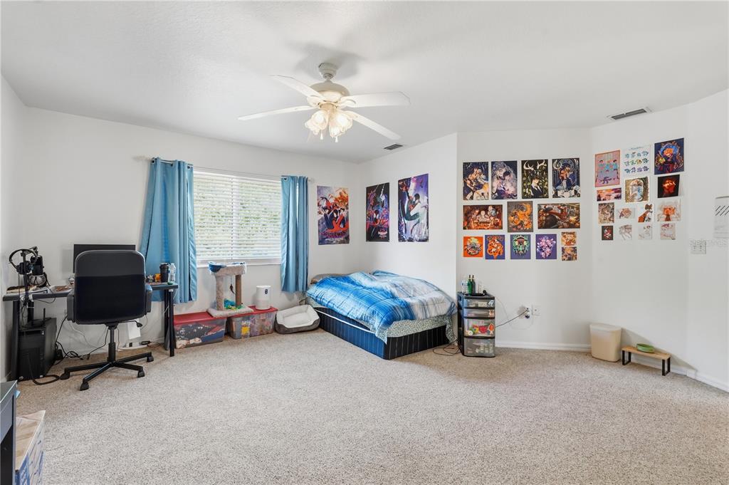 1734 Mapleleaf Boulevard Oldsmar, FL 34677 - Photo 49 of 82
