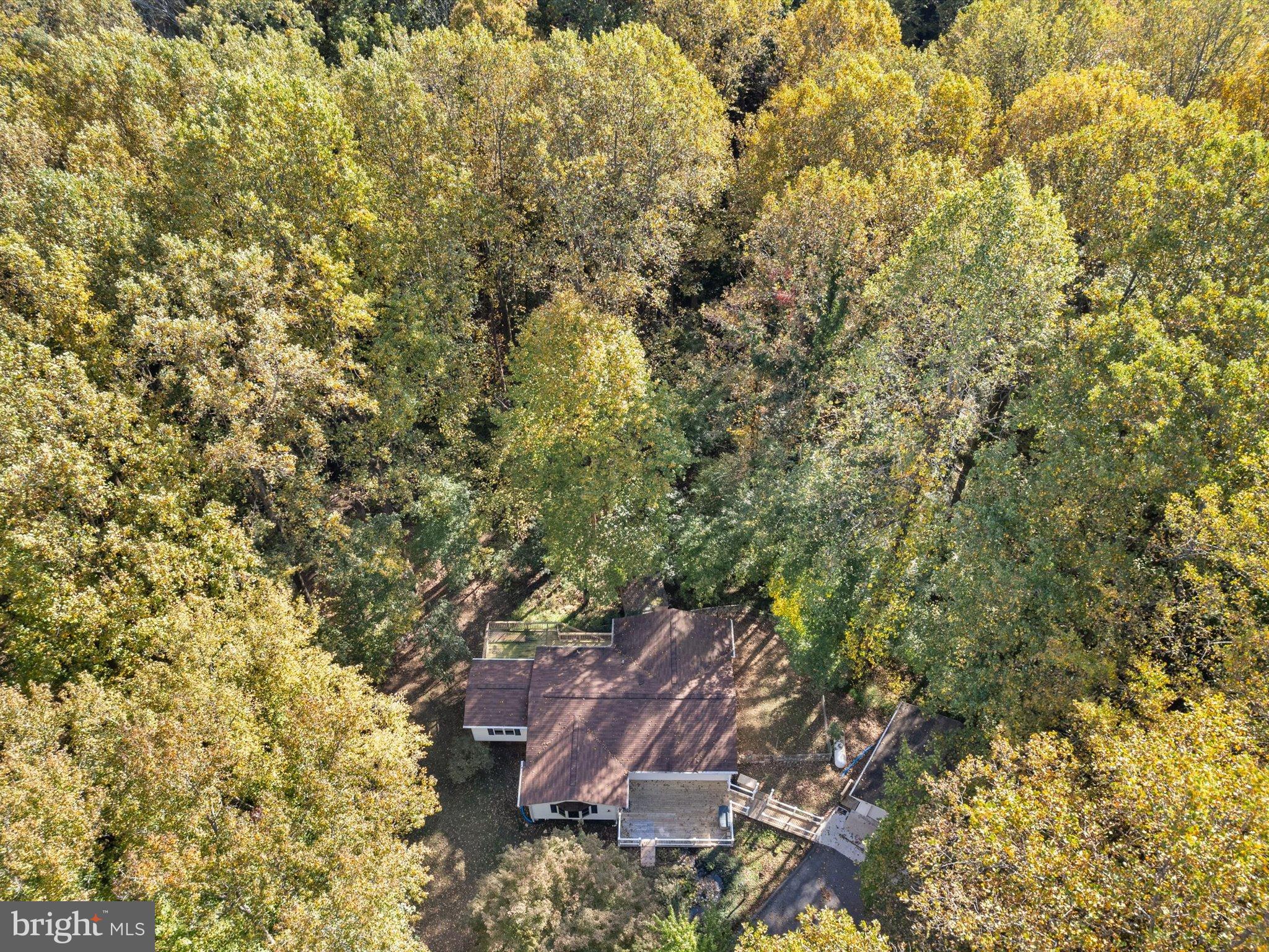 3671 Dory Brooks Road Chesapeake Beach, MD 20732 - Photo 10 of 36 a view of a tree with a yard
