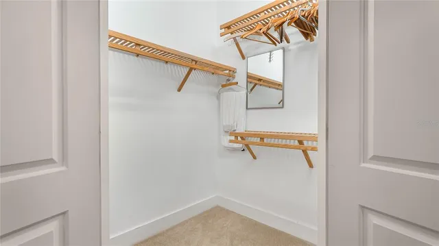 a view of walk in closet