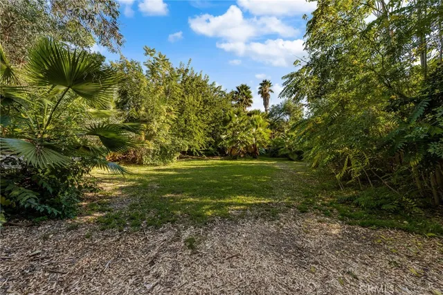 a view of yard with green space
