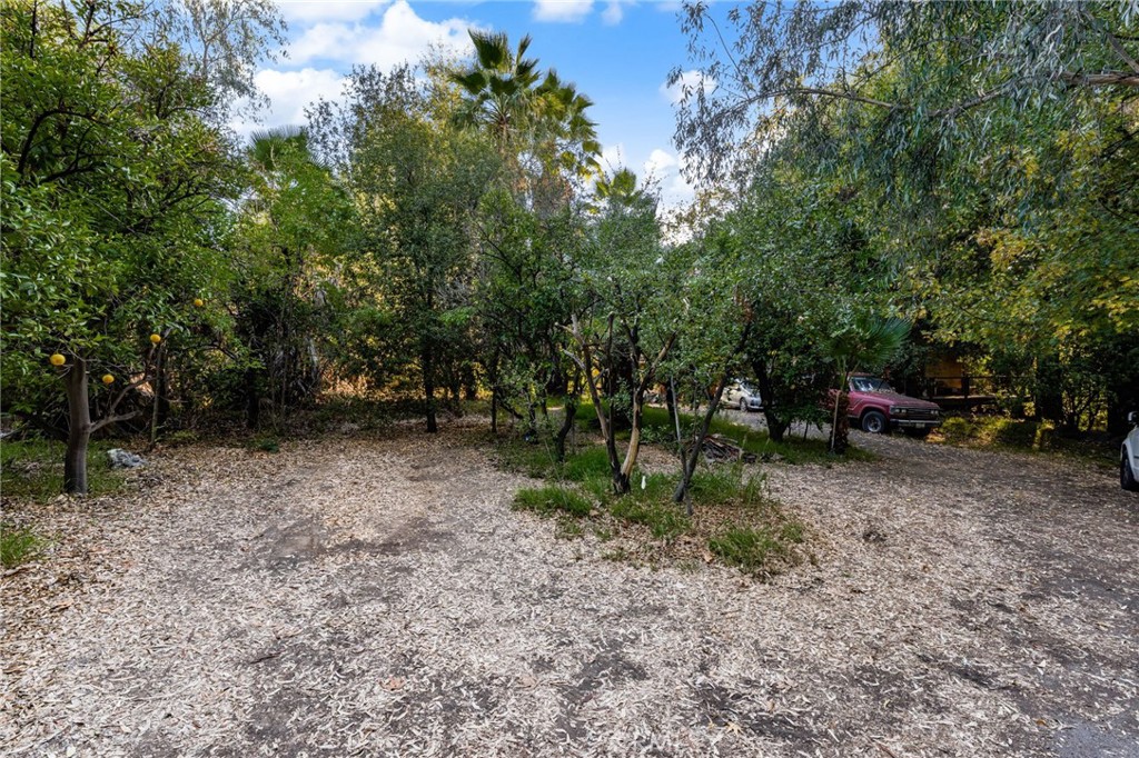 2700 Mill Creek Road Mentone, CA 92359 - Photo 10 of 22 a view of a park with large trees