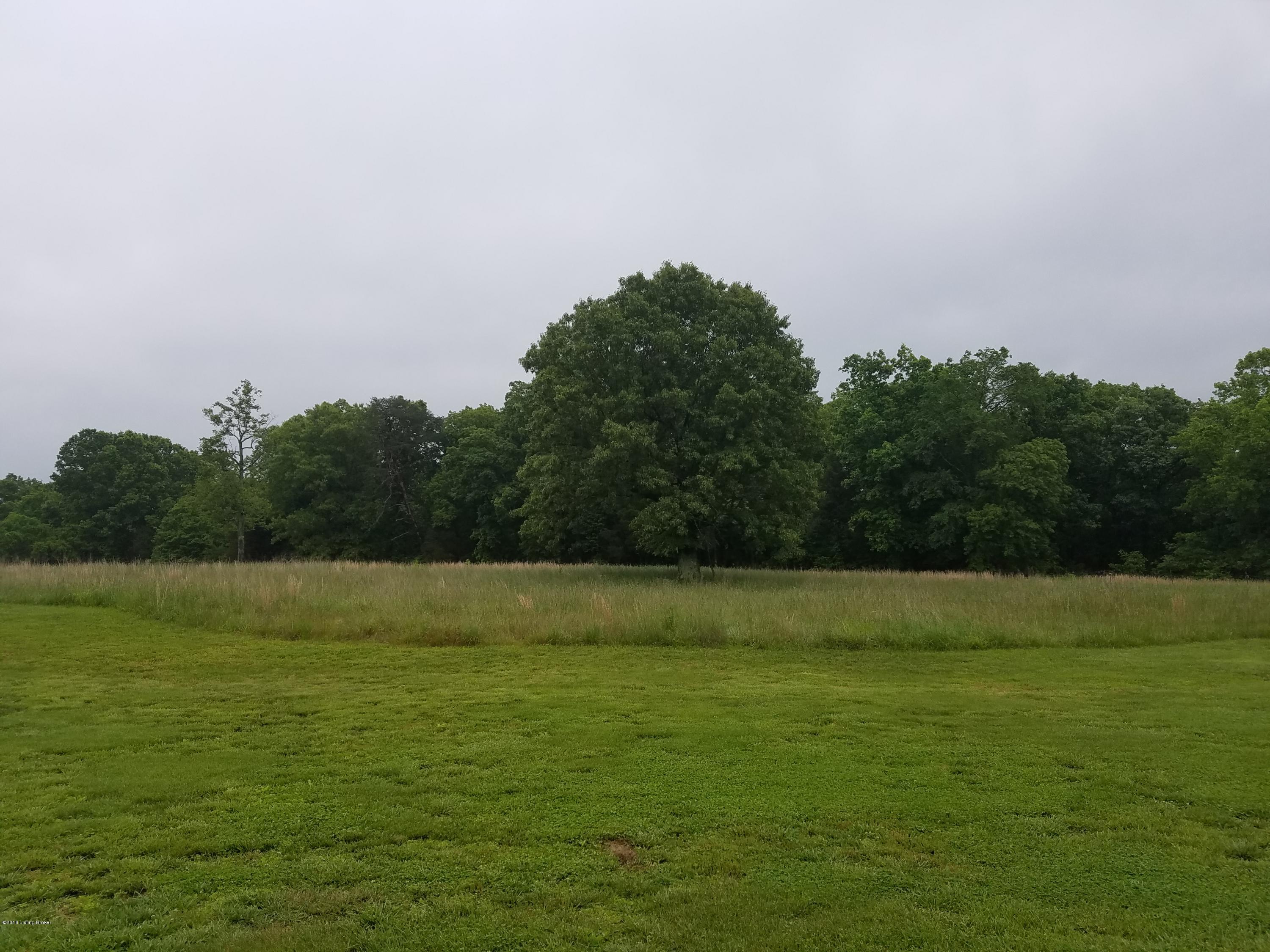 470 Ice Road Boston, KY 40107 - Photo 22 of 22 20160521_104718