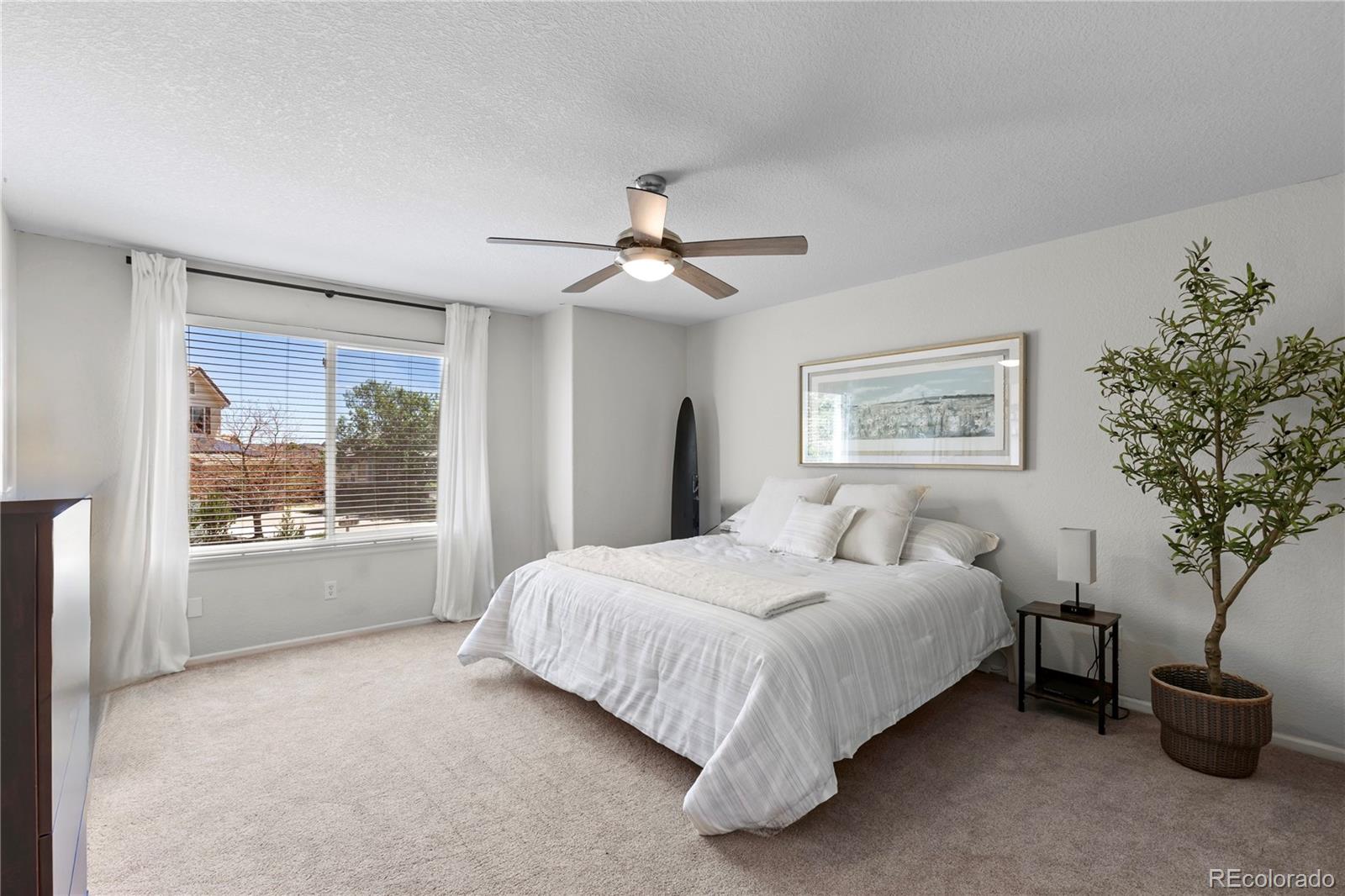 3050 Springbriar Drive Castle Rock, CO 80109 - Photo 21 of 44
