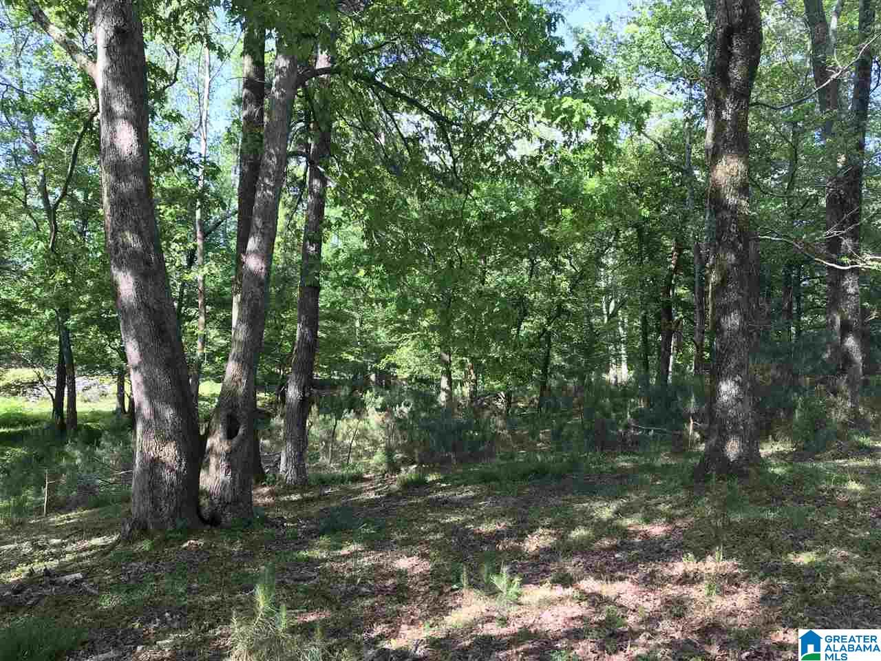 0 Steele Gap Road North, Unit 11 4 Steele, AL 35987 - Photo 12 of 26