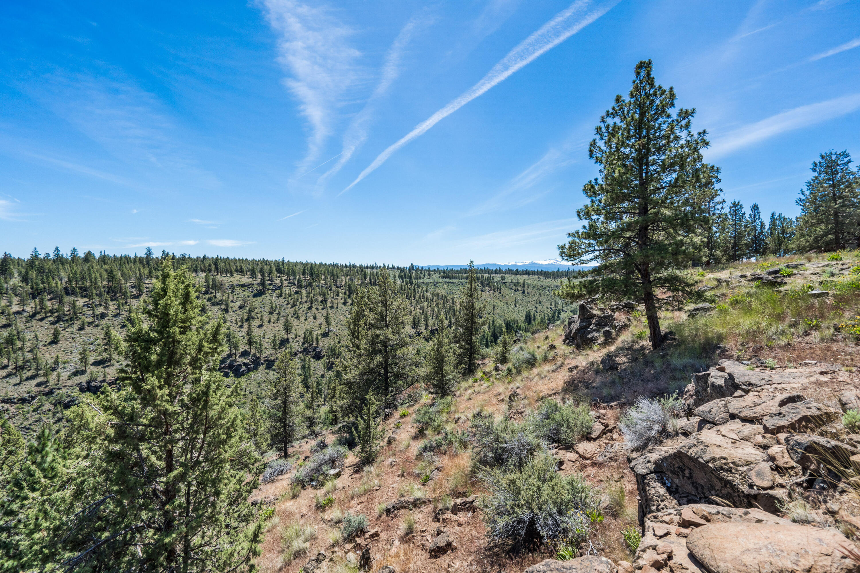 Canyon Setting