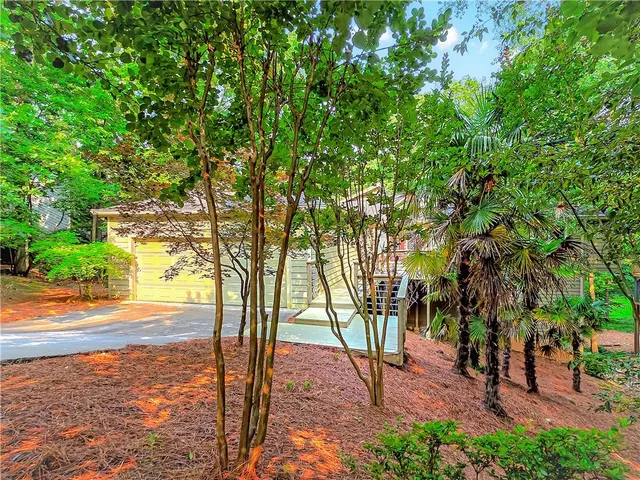 a view of a yard with plants and trees