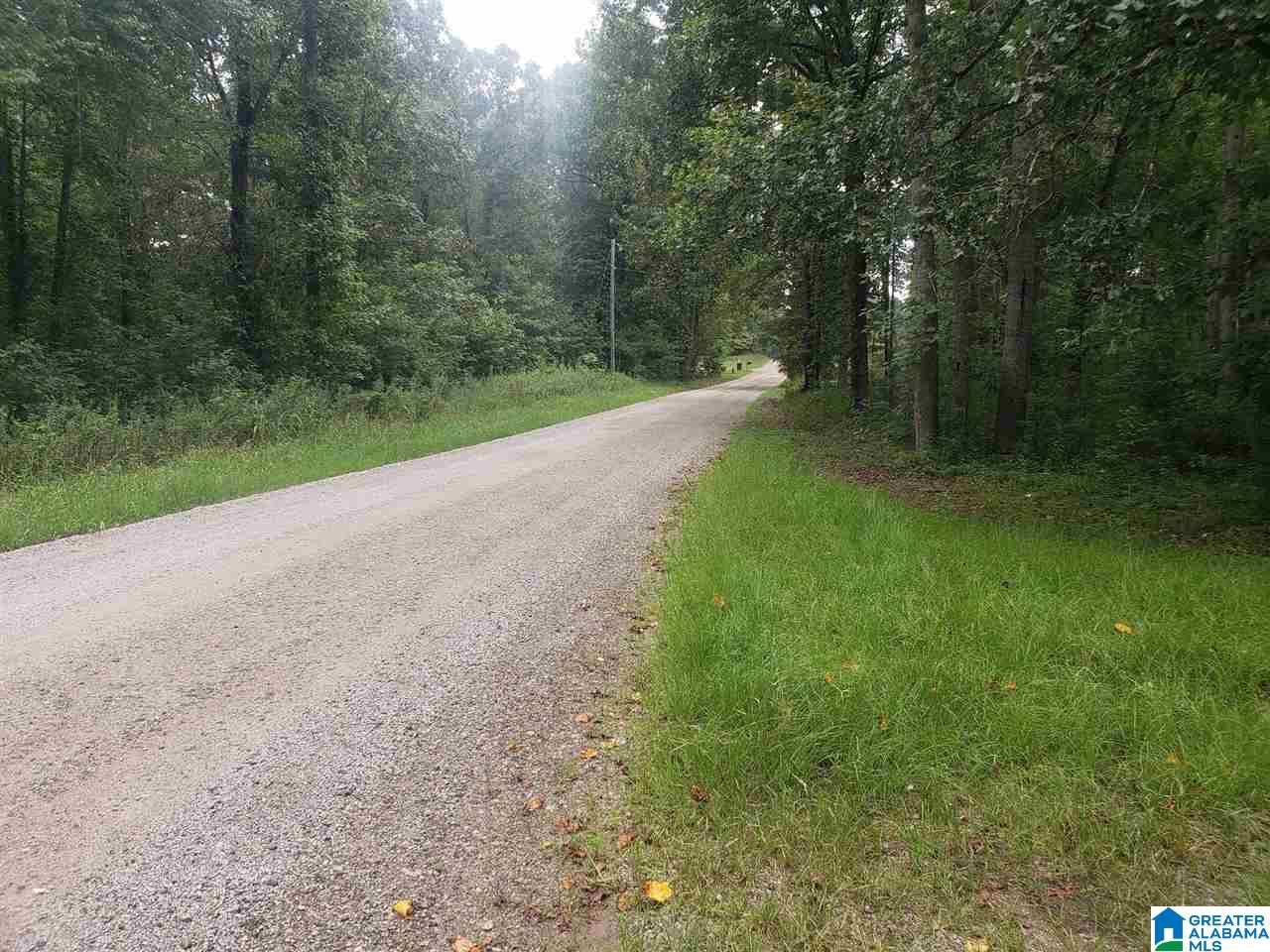 2229 County Road 82 Fruithurst, AL 36262 - Photo 2 of 12