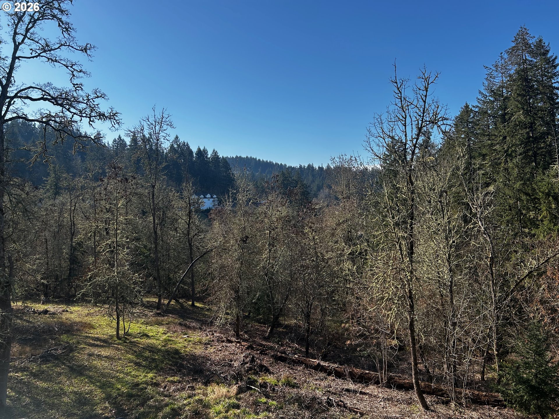 Hallmark Lane Eugene, OR 97405 - Photo 3 of 7