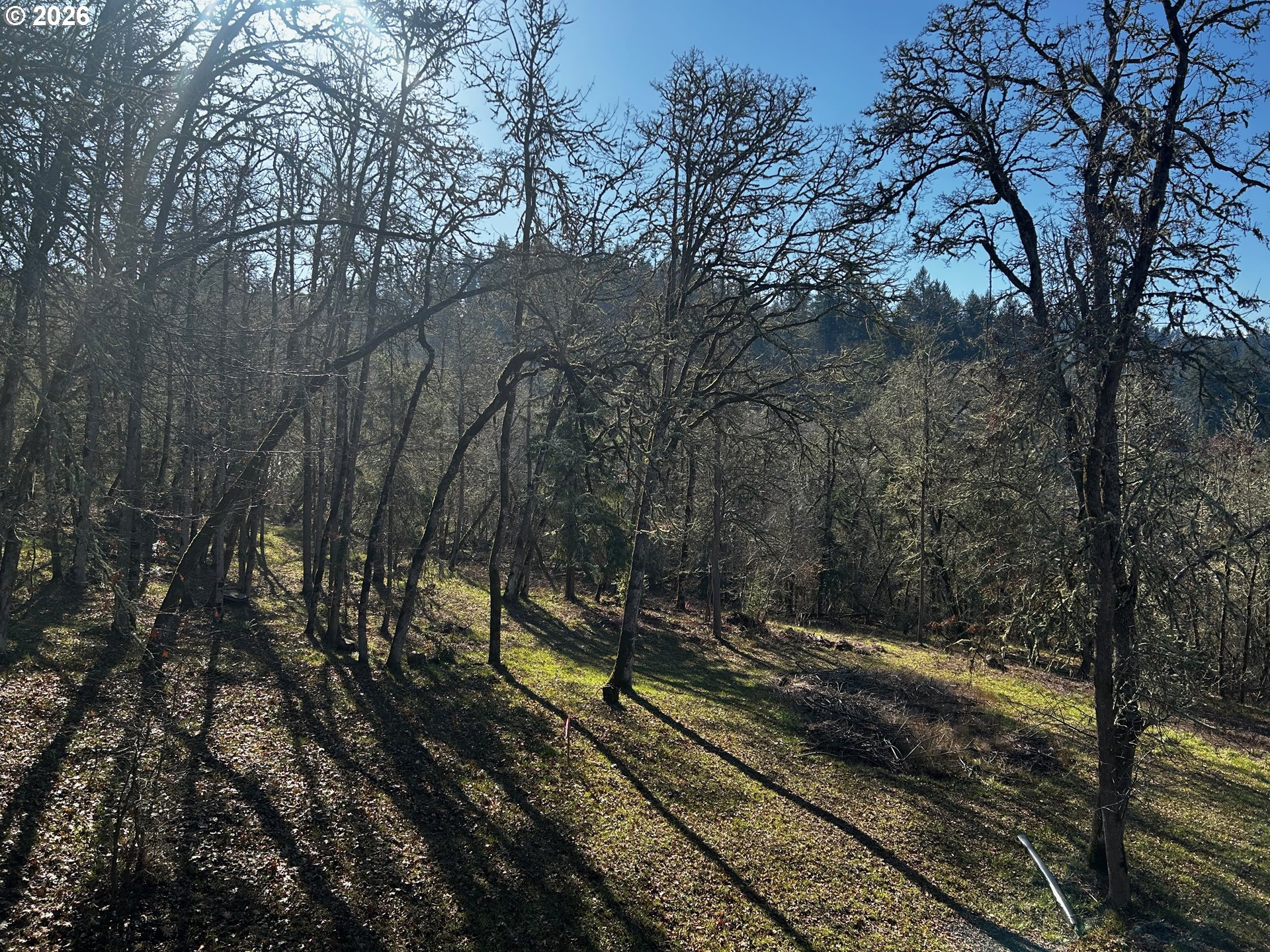 Hallmark Lane Eugene, OR 97405 - Photo 4 of 7