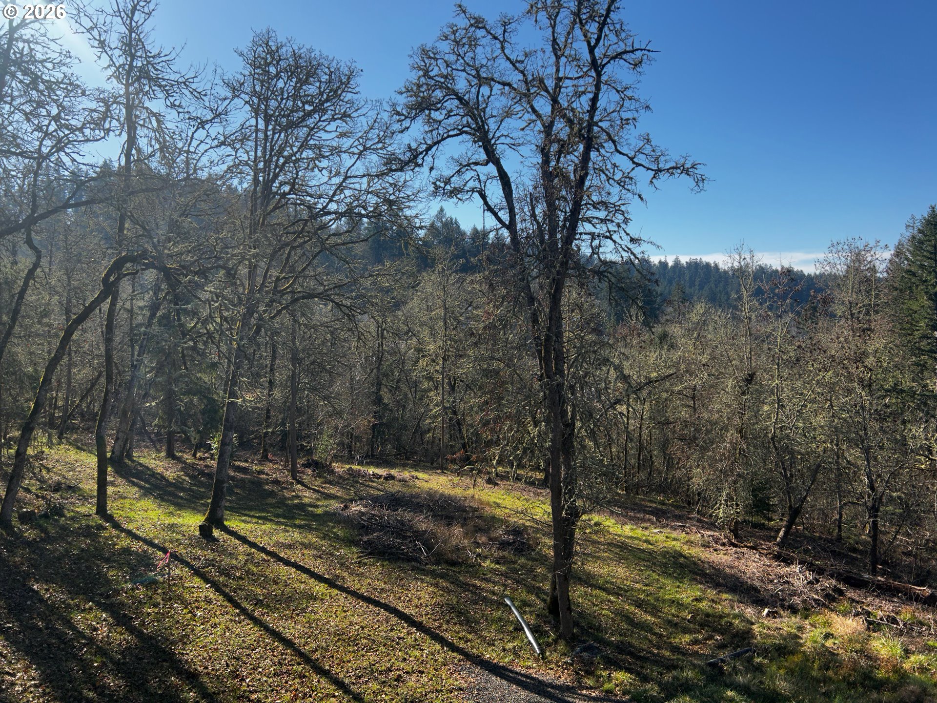 Hallmark Lane Eugene, OR 97405 - Photo 5 of 7