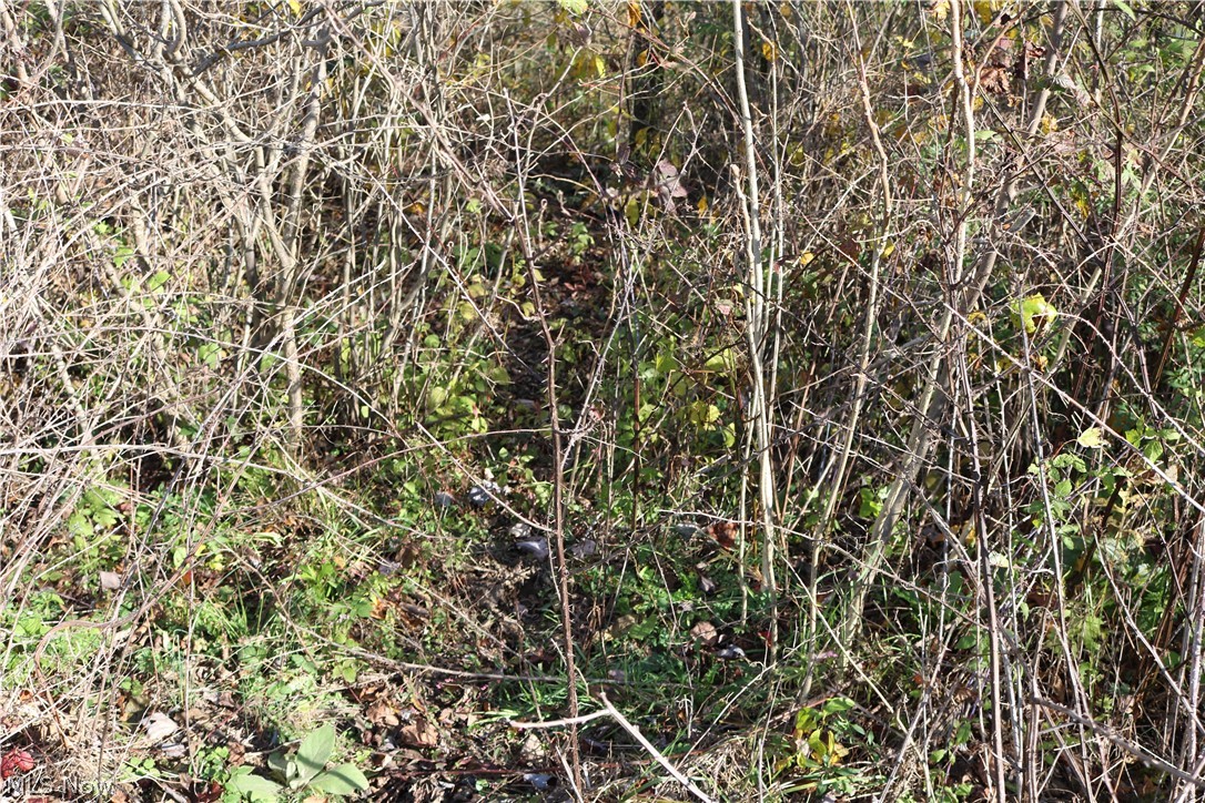 75336 Science Hill Road Newcomerstown, OH 43832 - Photo 21 of 35 Gallery Image 21