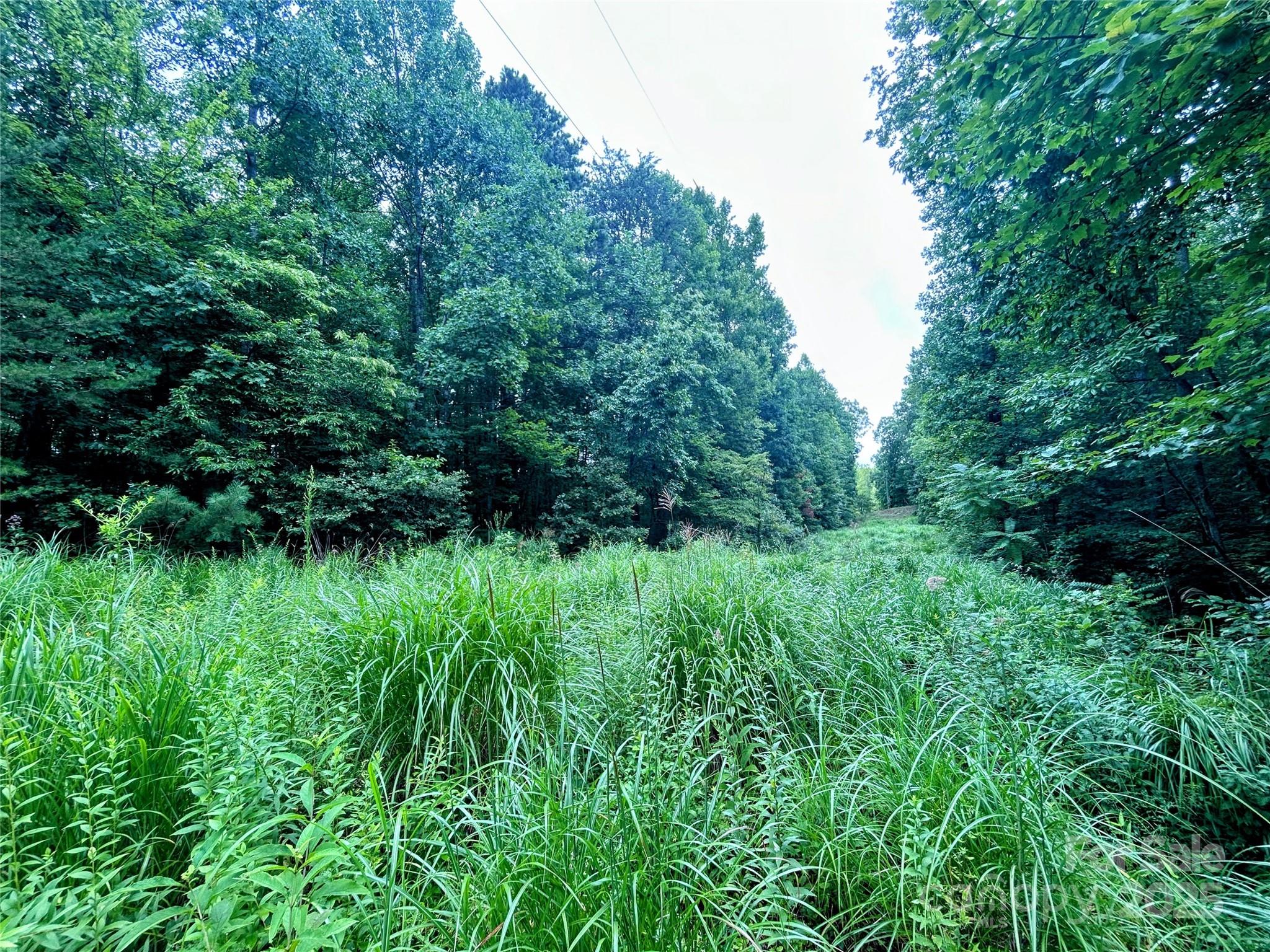 Lot 3 Azalea Way Saluda, NC 28773 - Photo 11 of 11