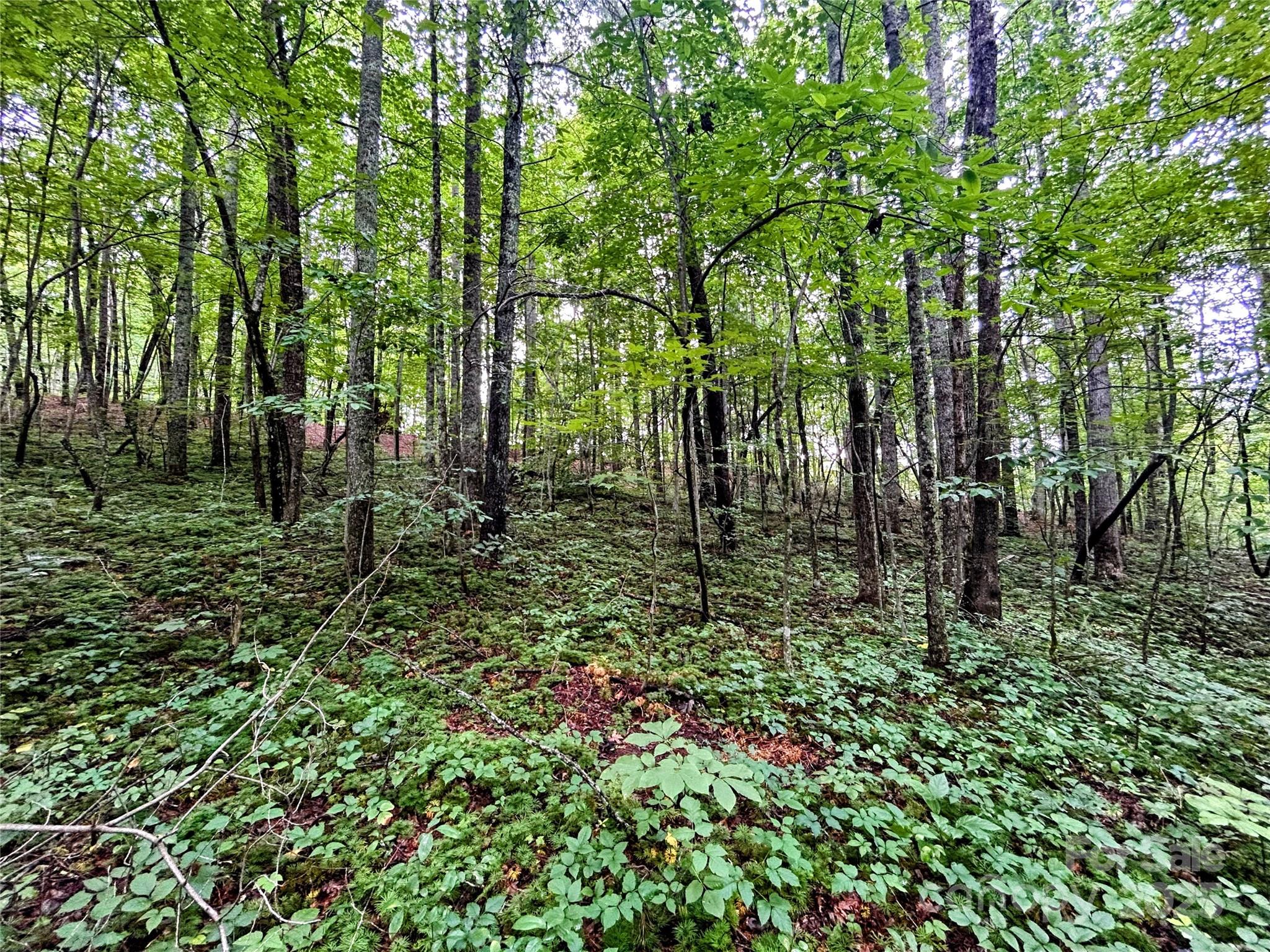 Lot 3 Azalea Way Saluda, NC 28773 - Photo 2 of 11