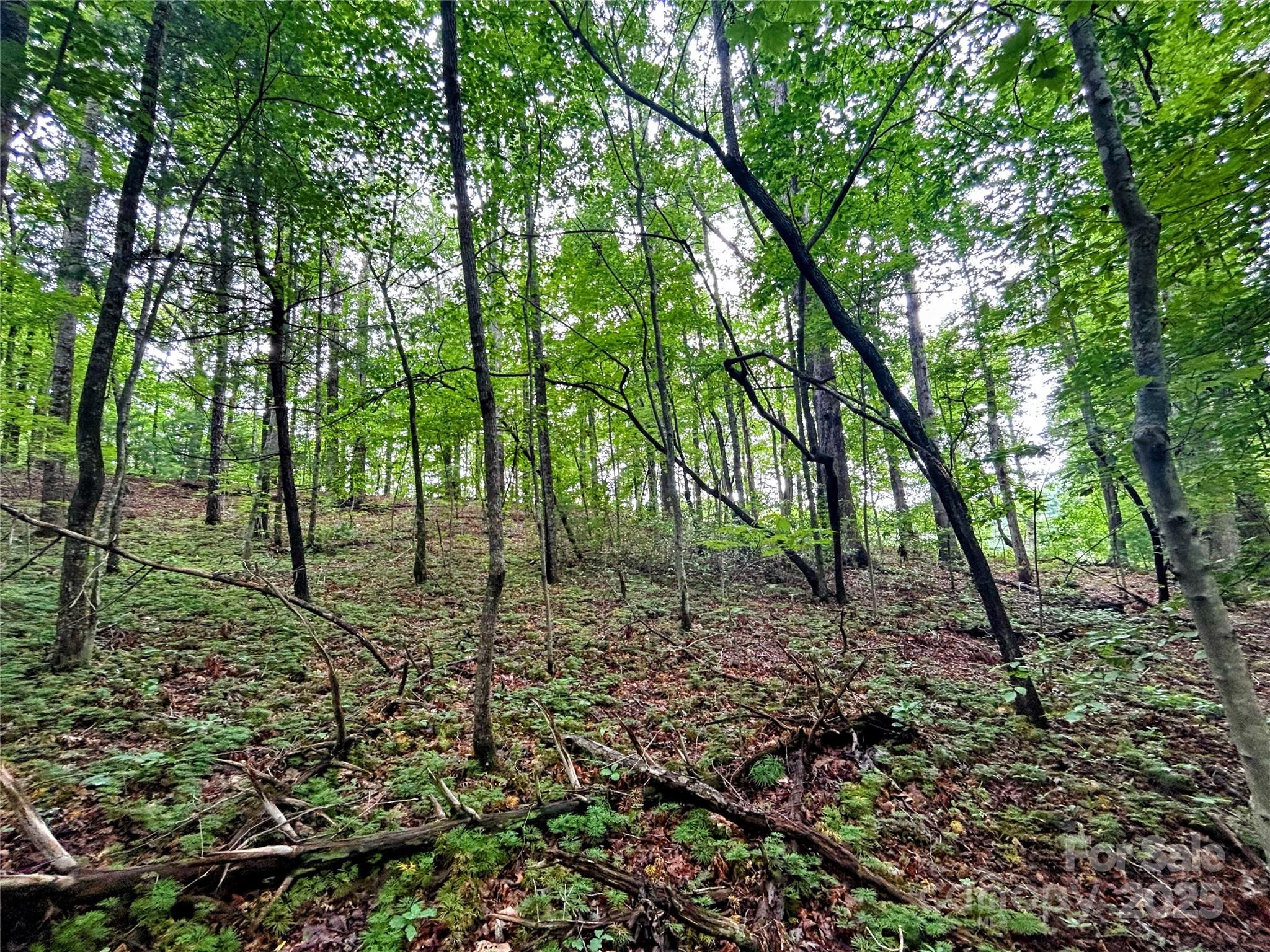 Lot 3 Azalea Way Saluda, NC 28773 - Photo 4 of 11