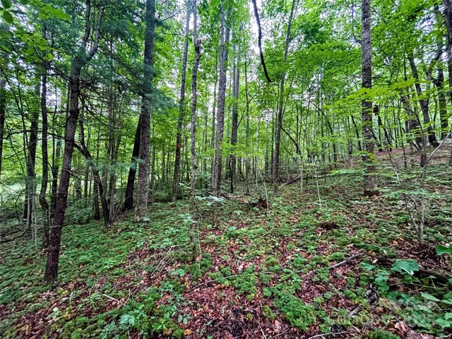 $36,000 | Lot 3 Azalea Way, Saluda, NC 28773