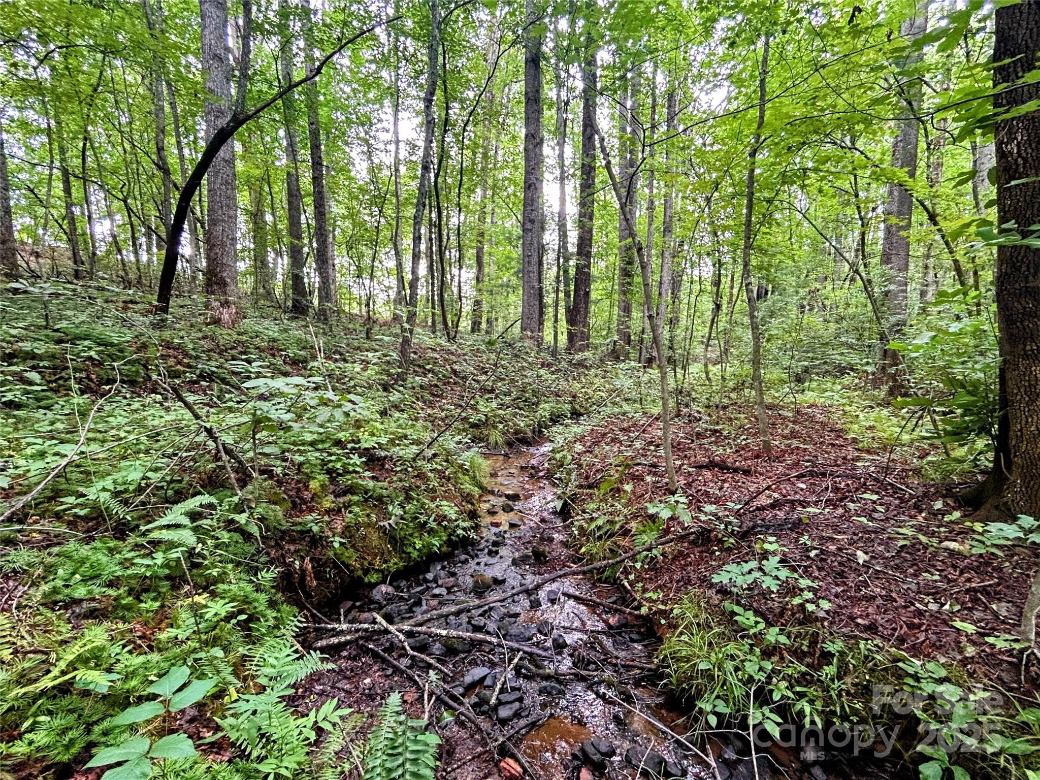 Lot 3 Azalea Way Saluda, NC 28773 - Photo 7 of 11