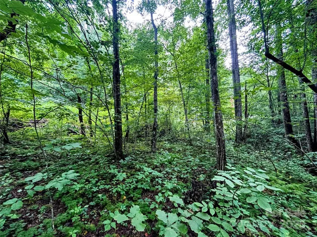 $36,000 | Lot 3 Azalea Way, Saluda, NC 28773