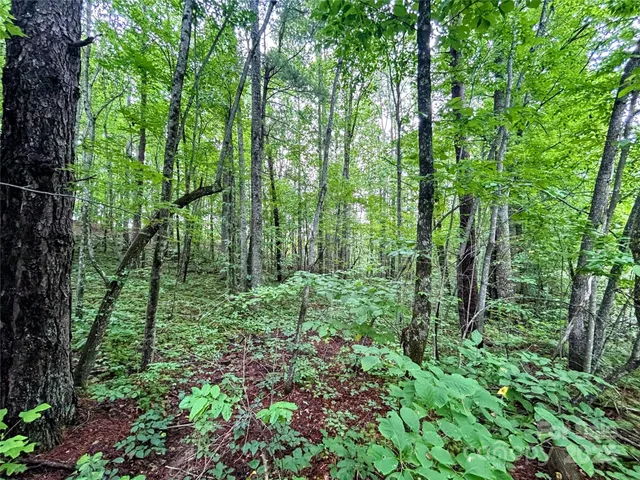 $36,000 | Lot 3 Azalea Way, Saluda, NC 28773