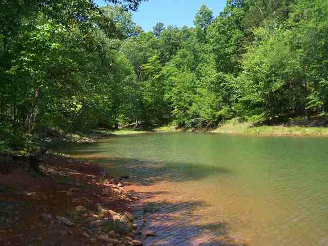 2 A/2b Punkin Bend Road Hartwell, GA 30643 - Photo 3 of 4