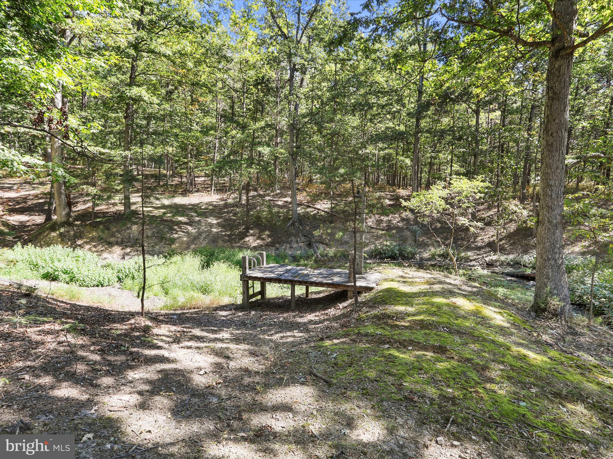 2370 Kerns School Road Springfield, WV 26763 - Photo 11 of 45 a view of a bench in a backyard
