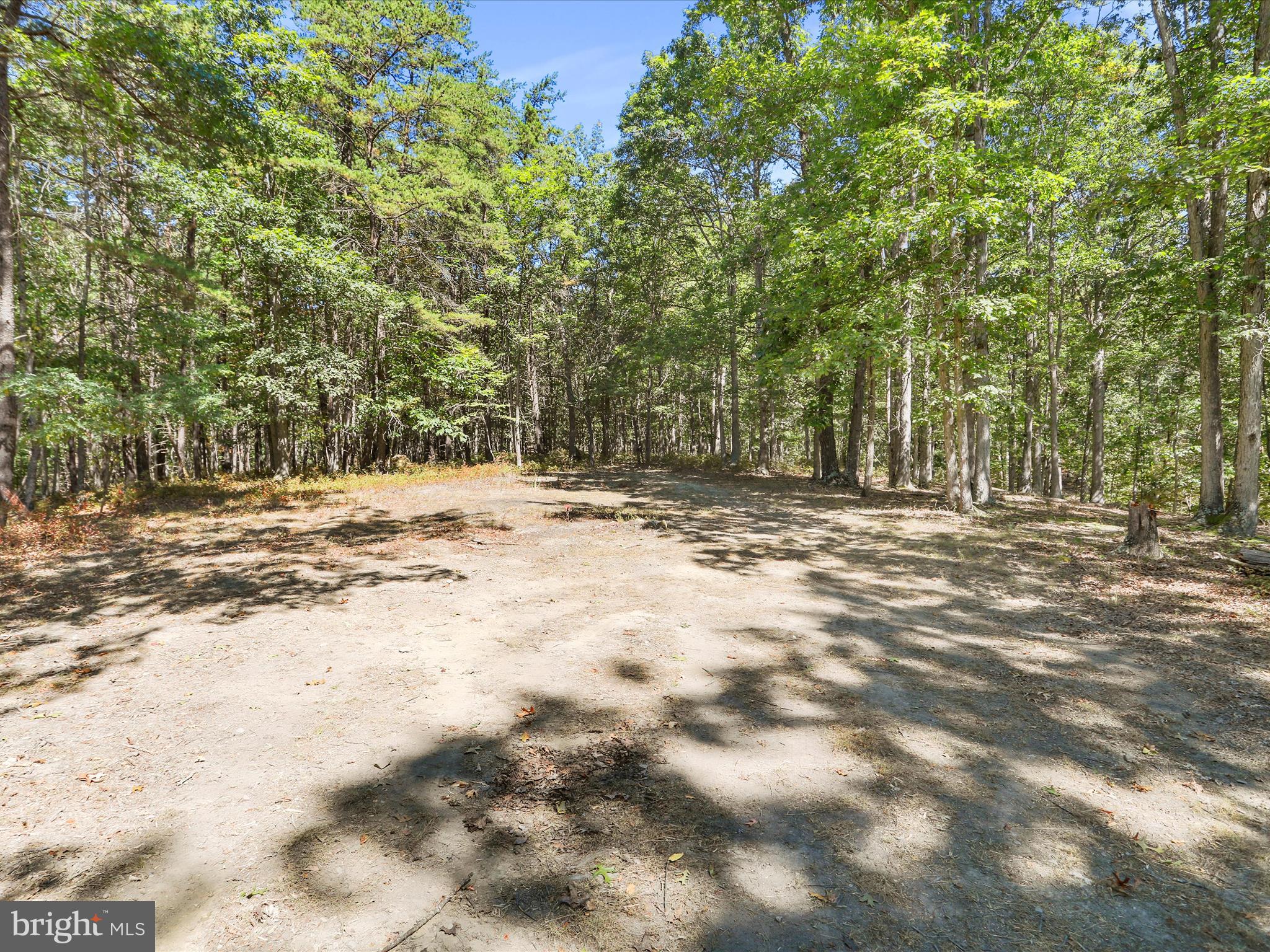 2370 Kerns School Road Springfield, WV 26763 - Photo 28 of 45 a view of of trees with yard