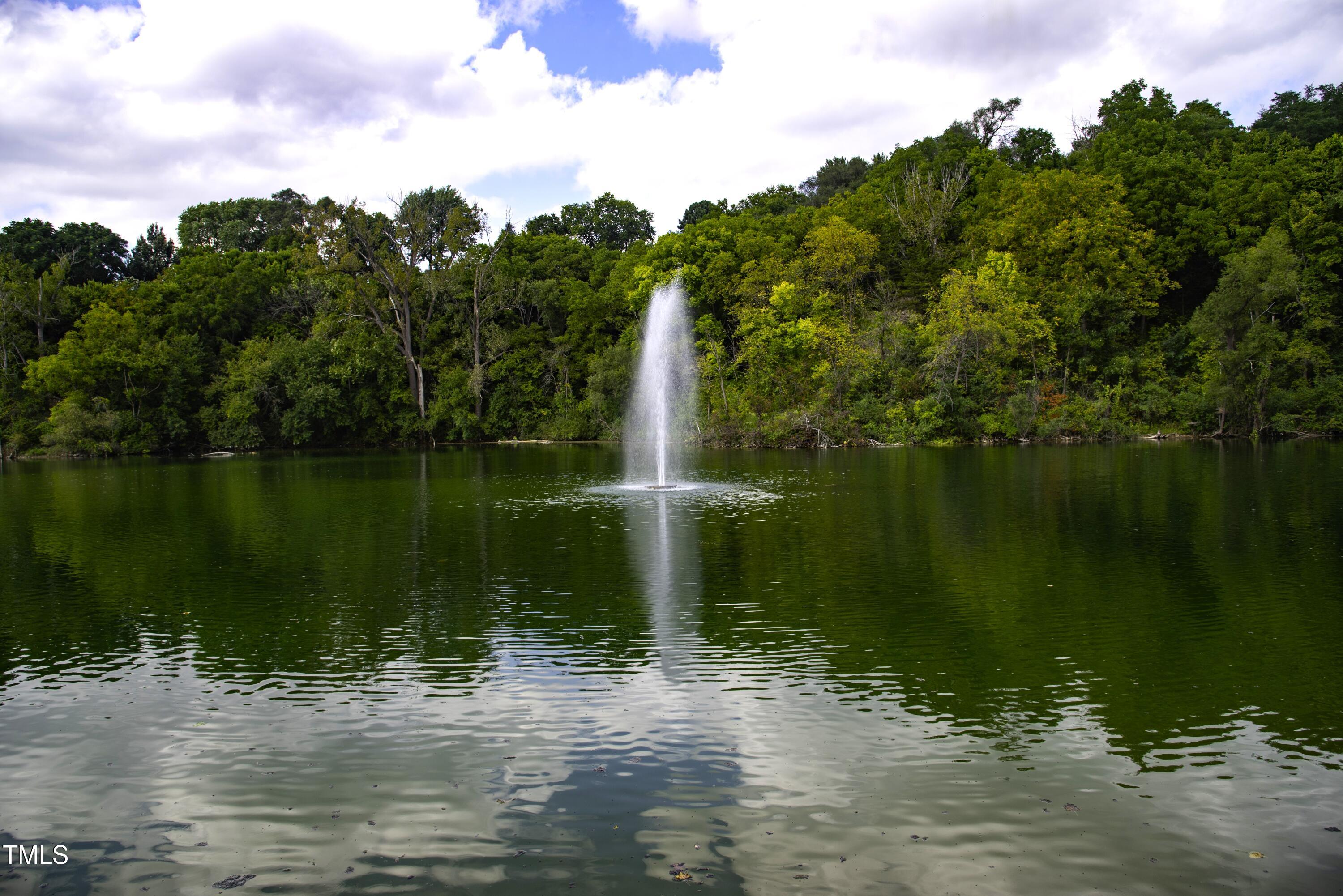 2916 Frances Marie Lane Raleigh, NC 27606 - Photo 25 of 30 a view of a lake view with a beach