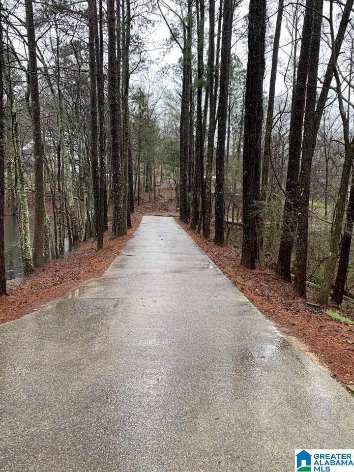 593 Lock 4 Road Riverside, AL 35135 - Photo 6 of 49