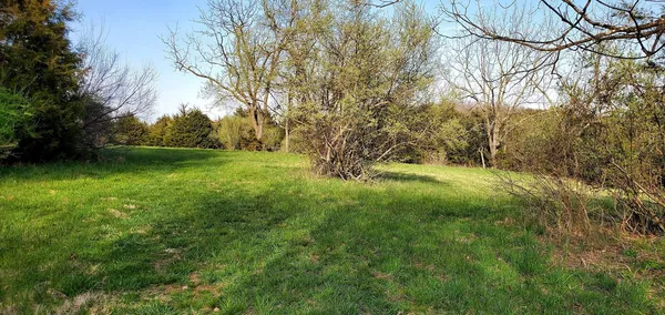 a view of a wooden floor