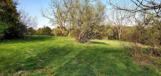 a view of a wooden floor