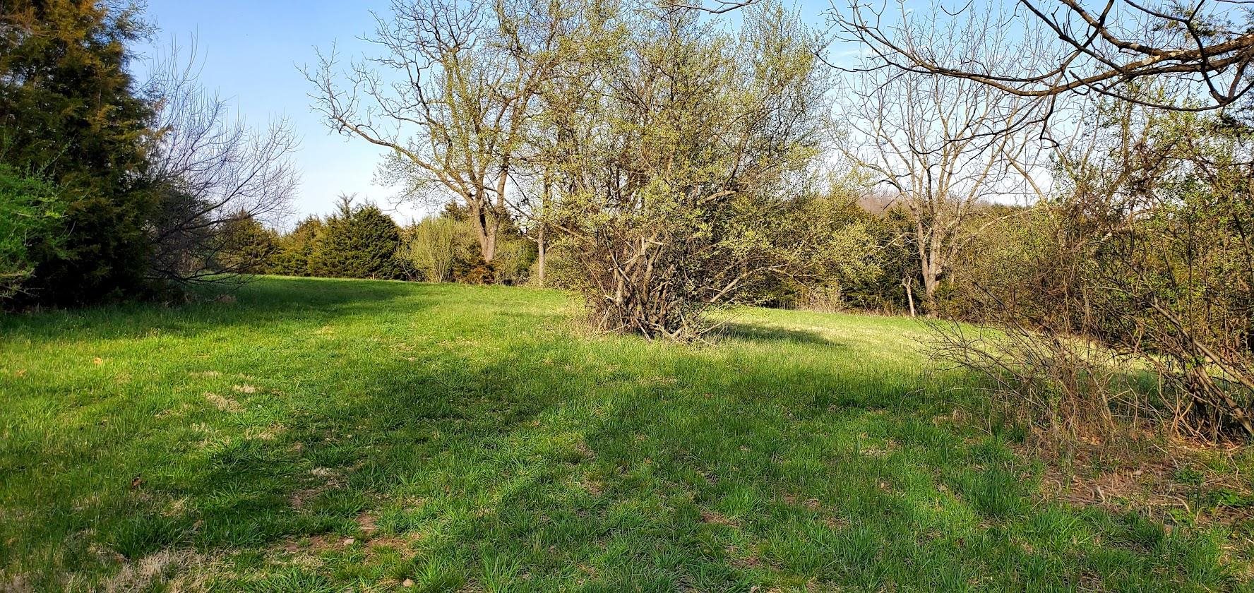 3-crown Ridge Berry Farm Road Verona, VA 24482 - Photo 11 of 47 a view of a lush green space